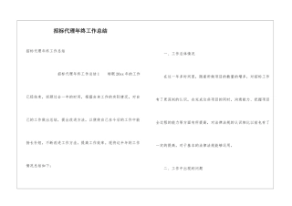 招标代理年终工作总结