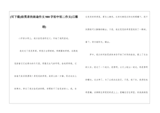 拾荒者的旅途作文900字初中初二作文