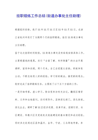挂职锻炼工作总结-