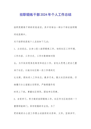 挂职锻炼干部2024年个人工作总结-