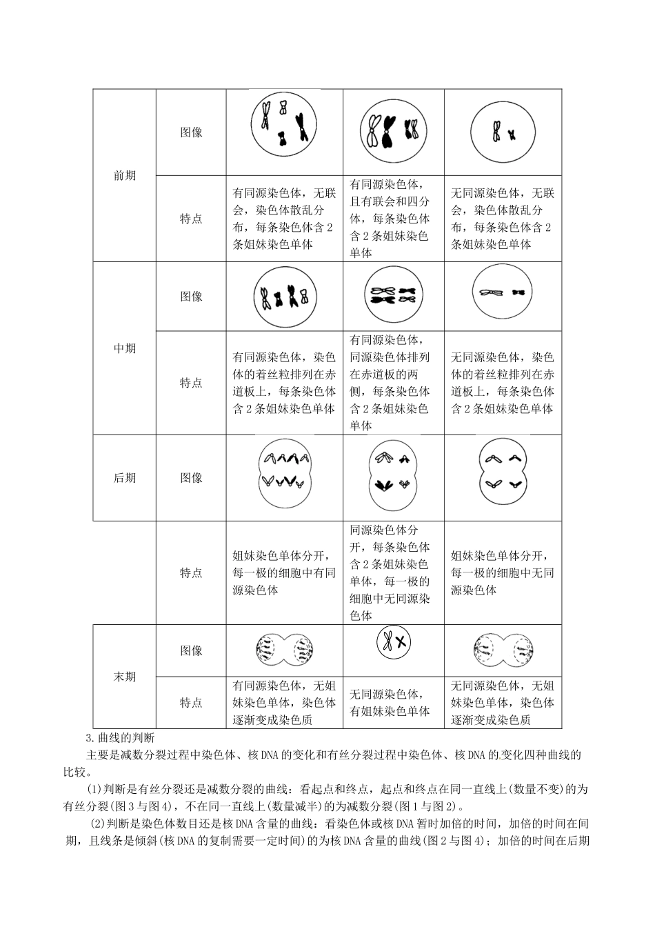 2013-2014学年高中生物 第2章 第1节《减数分裂和受精作用》教材内容全解 新人教版必修2_第3页