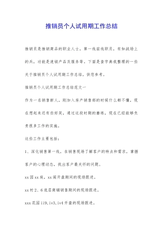 推销员个人试用期工作总结-