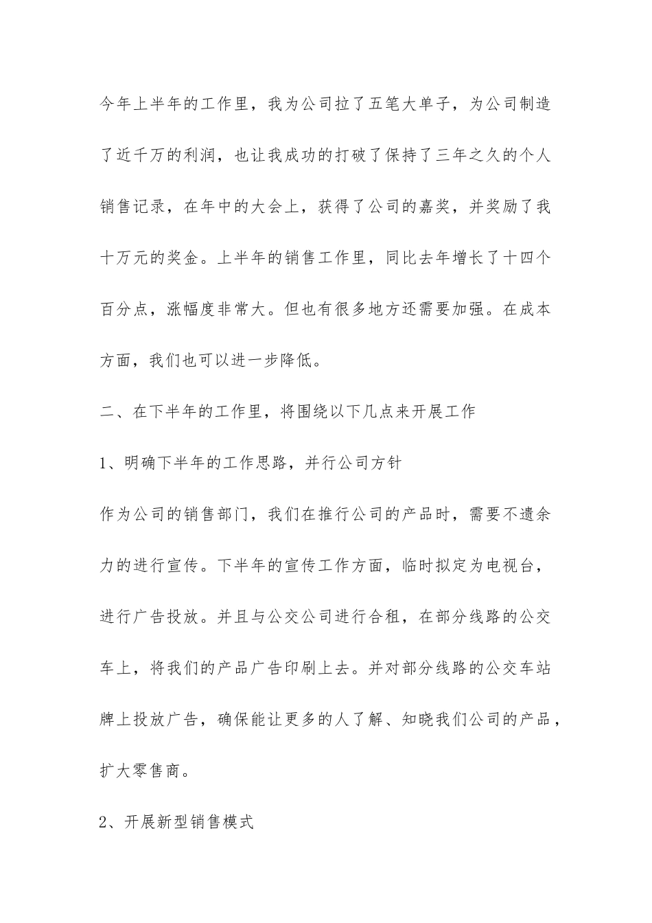 推销员个人工作总结-_第2页