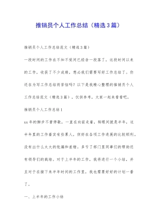 推销员个人工作总结-