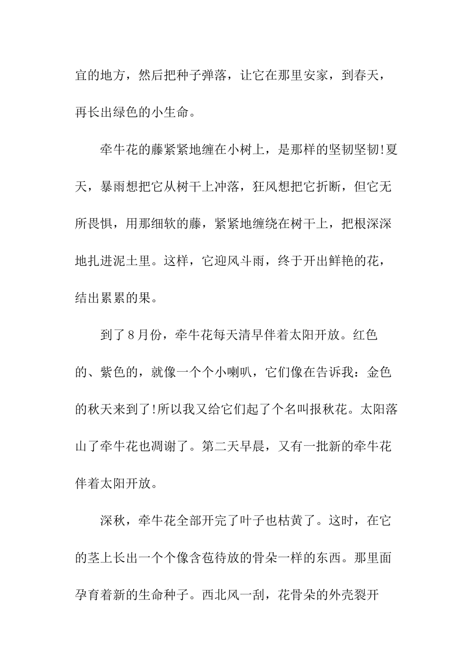 描写牵牛花的文章_第3页