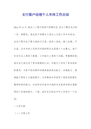 支行客户经理个人年终工作总结-