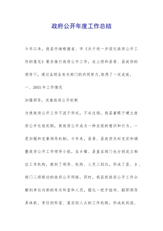 政府公开年度工作总结-