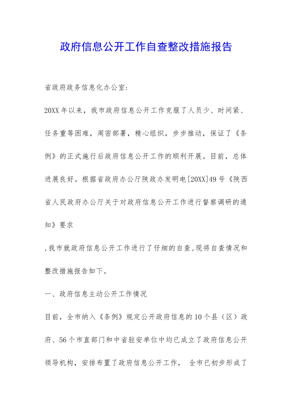 政府信息公开工作自查整改措施报告-_第1页