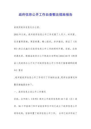 政府信息公开工作自查整改措施报告-