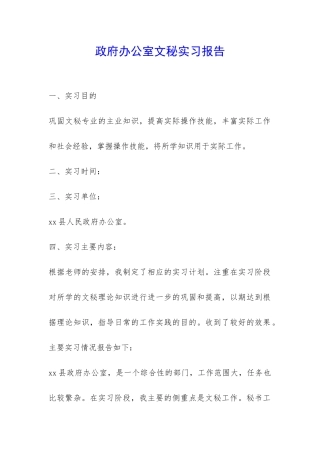 政府办公室文秘实习报告-