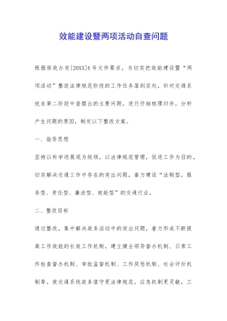 效能建设暨两项活动自查问题-