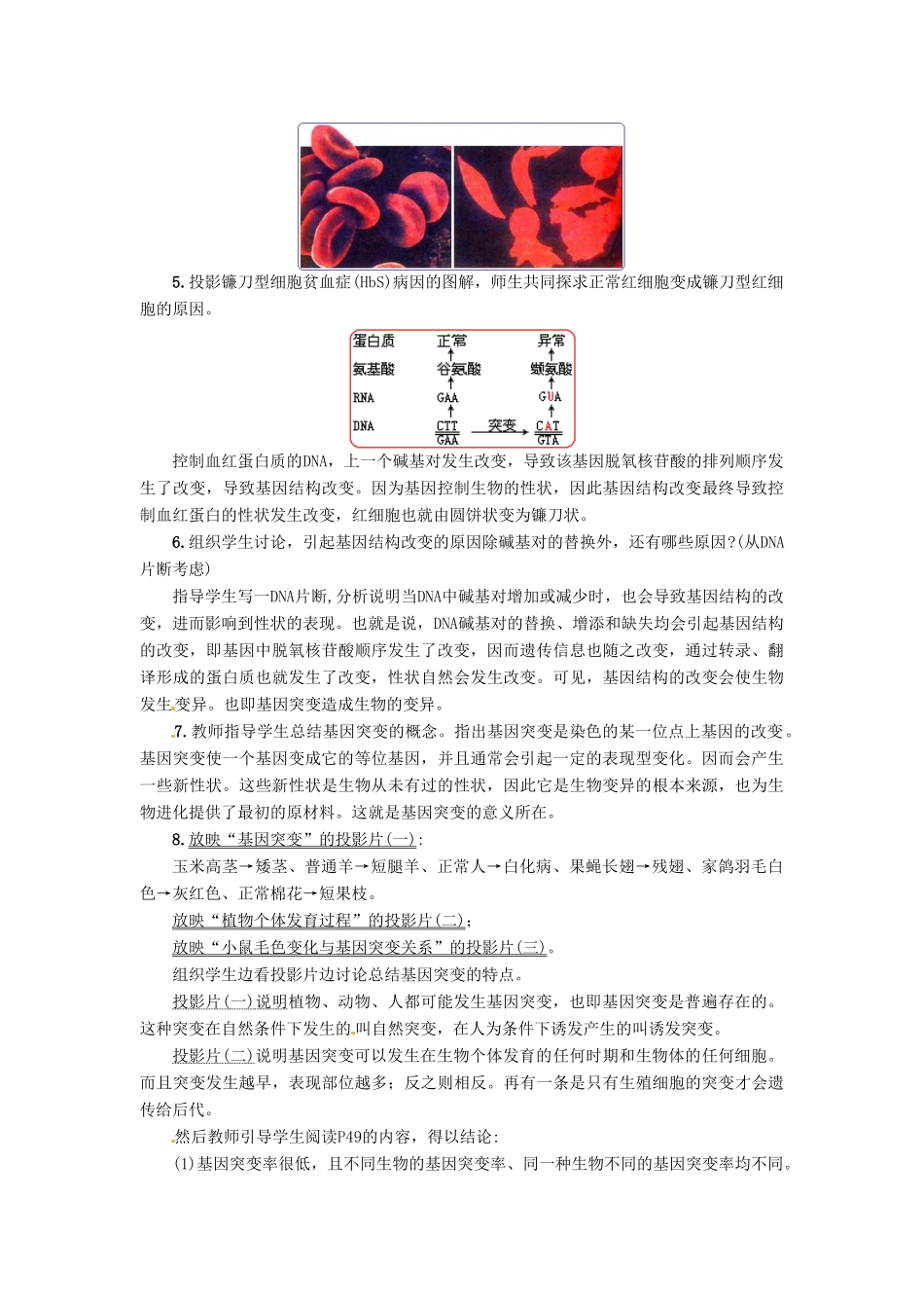 2013-2014学年高中物理 5.1 基因突变和基因重组新课教学过程二 新人教版必修2_第2页