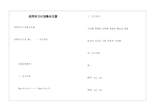 教师实习计划集合五篇