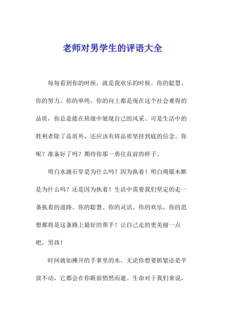 教师对男学生的评语大全