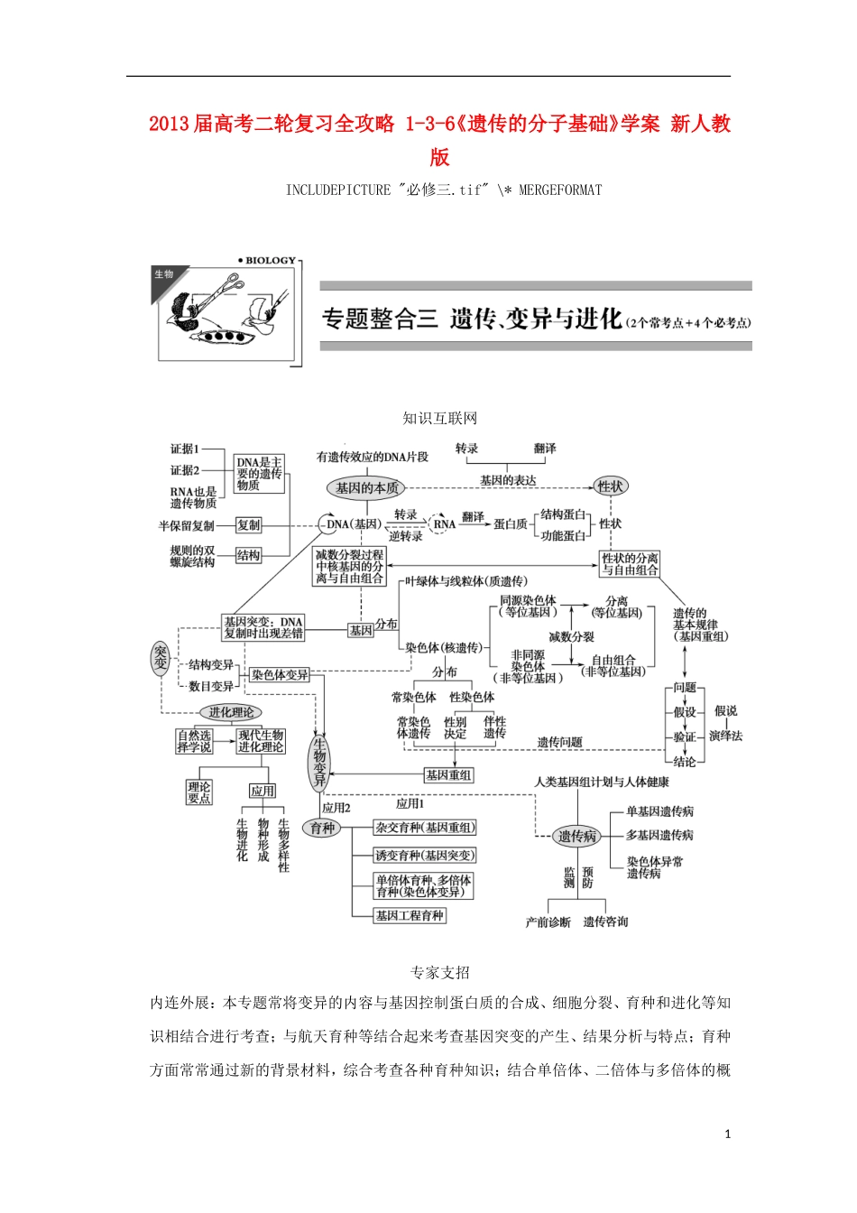 2013届高考二轮复习全攻略 1-3-6《遗传的分子基础》学案 新人教版_第1页
