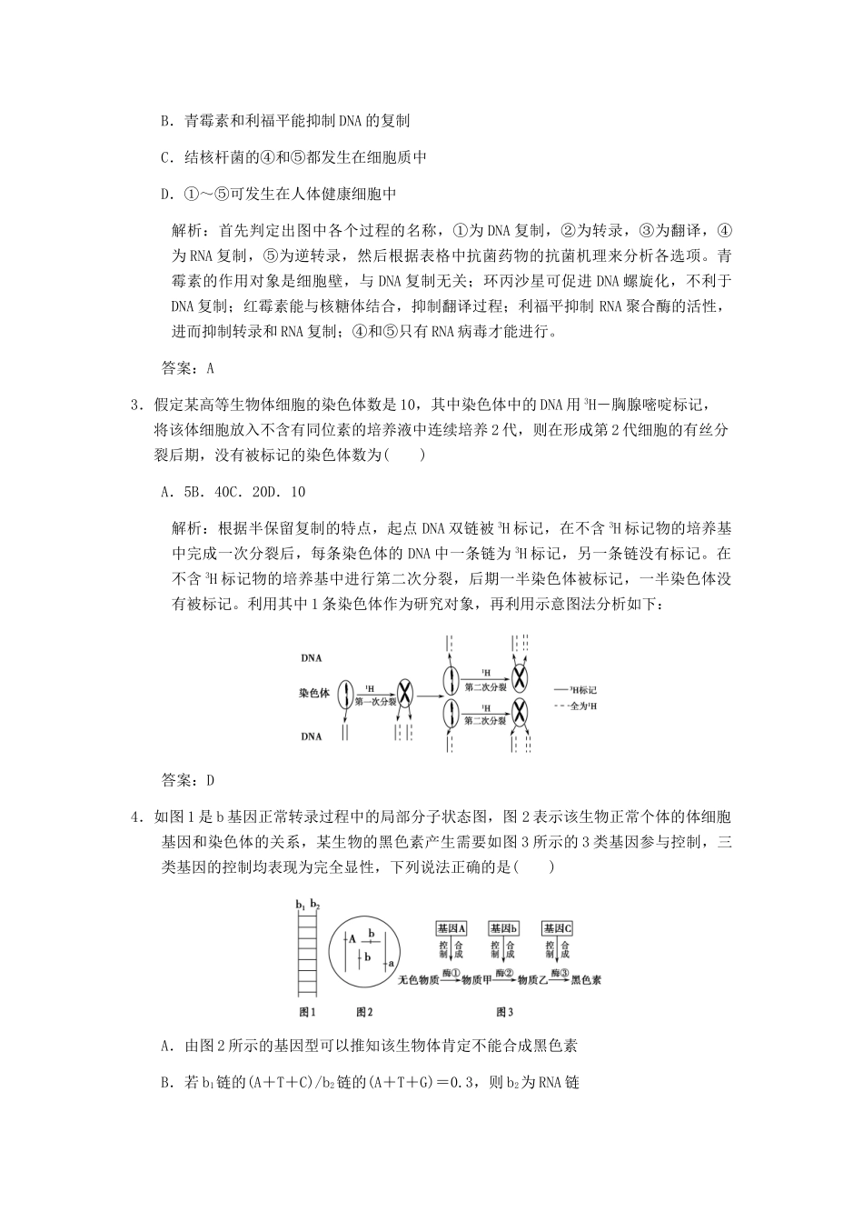 2013届高考生物 课后考点复习四 遗传的分子基础教案 新人教版_第2页