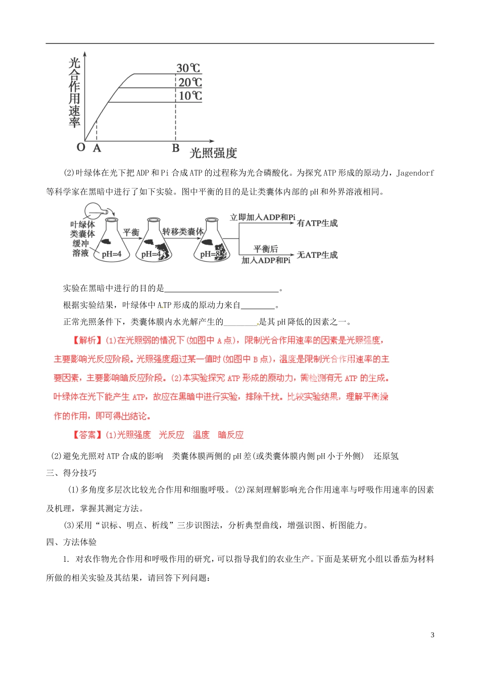 2013届高考生物复习夺标学案 非选择题题型解法指导 2.1 细胞代谢类提分技巧 新人教版_第3页