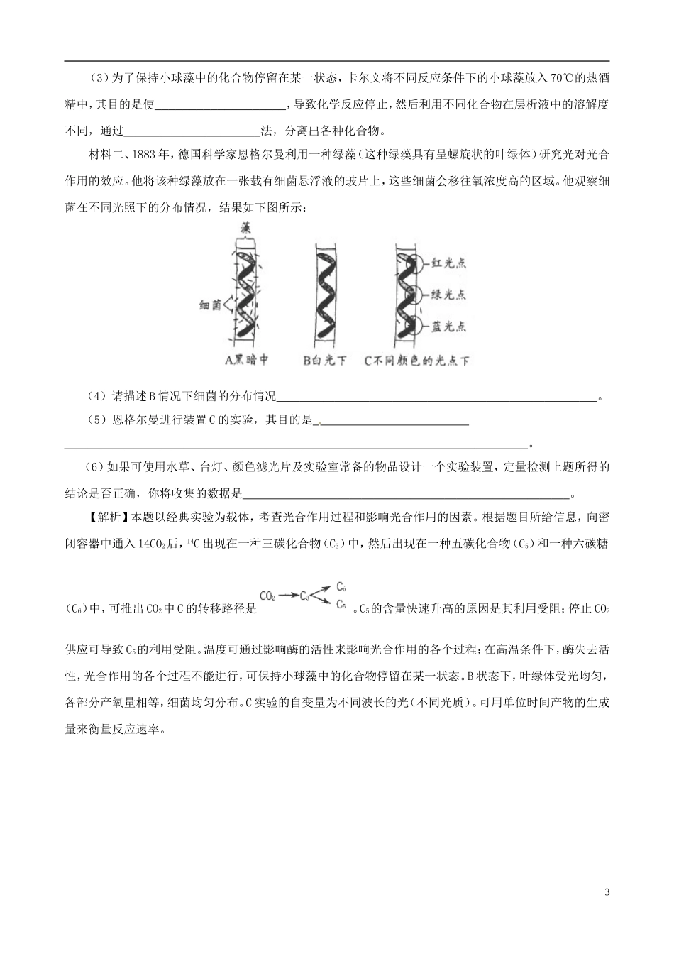 2013届高考生物复习夺标学案 非选择题题型解法指导 2.5 实验类提分技巧 新人教版_第3页