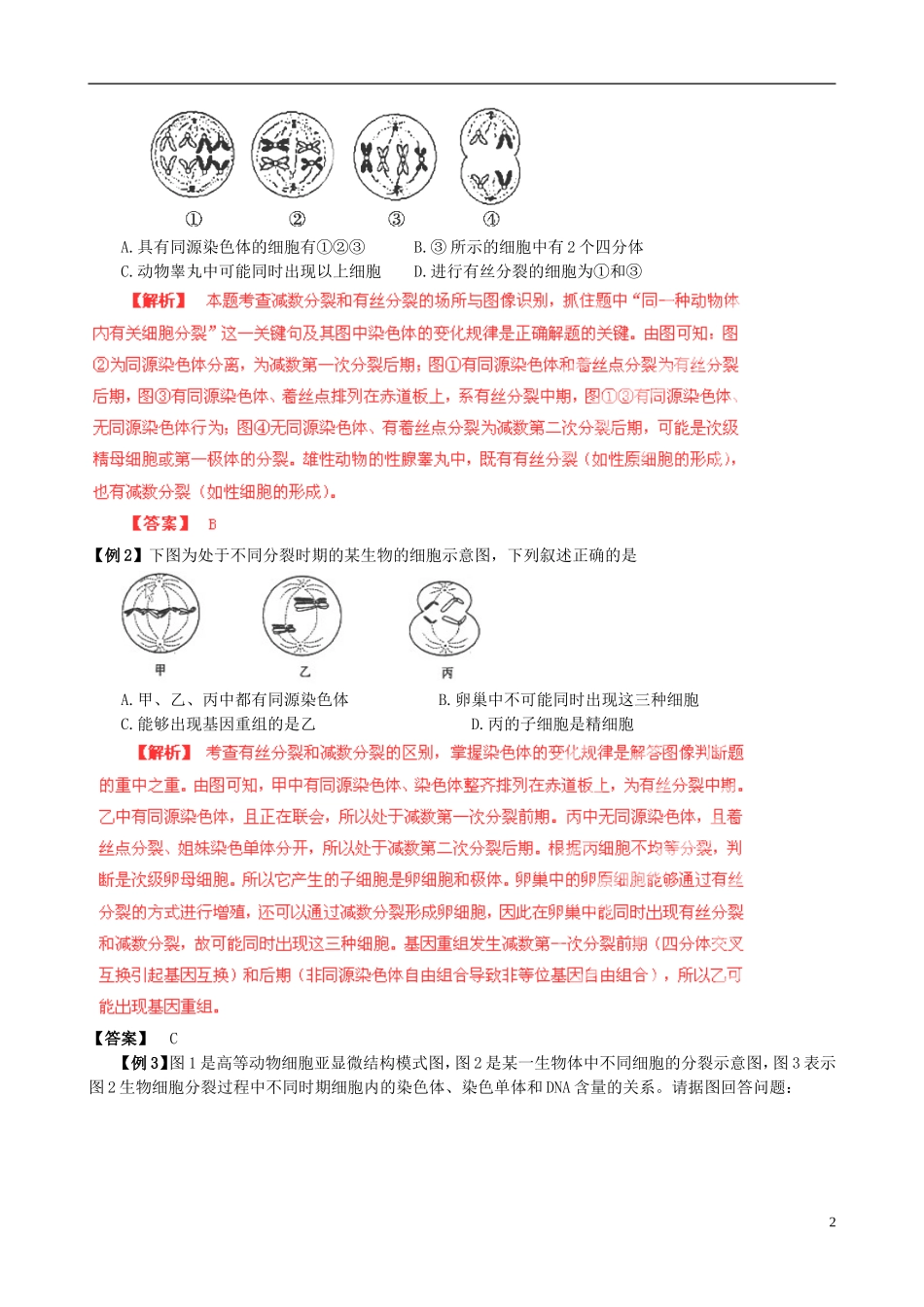 2013届高考生物复习夺标学案 专题06 遗传的细胞基础 新人教版_第2页
