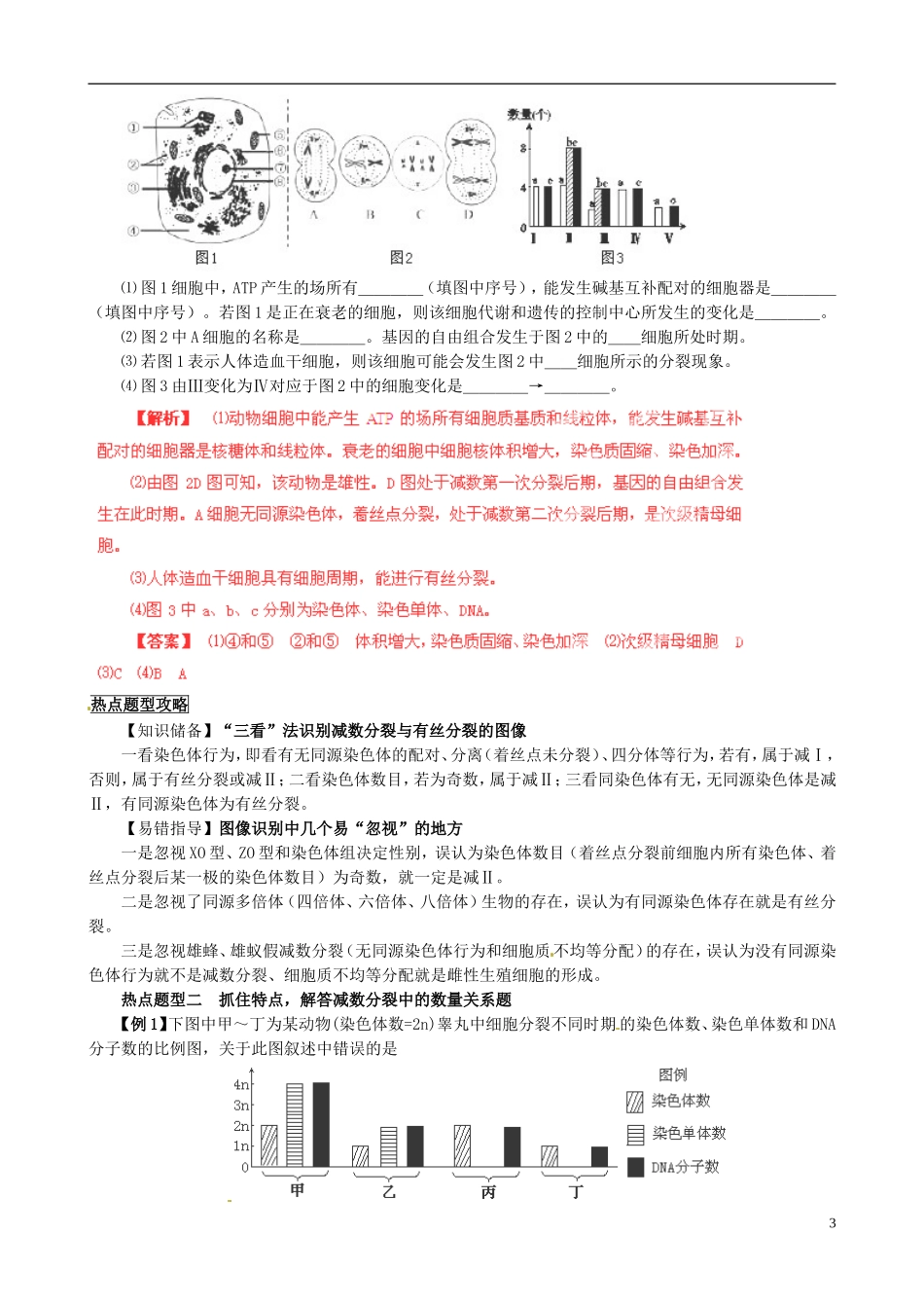 2013届高考生物复习夺标学案 专题06 遗传的细胞基础 新人教版_第3页