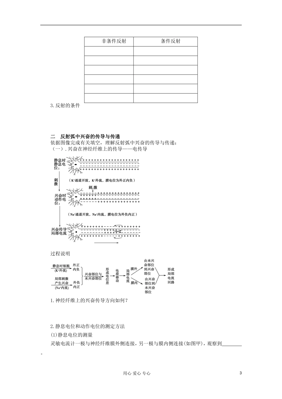 2013届高考生物起点一轮复习 第八单元 通过神经系统的调节学案_第3页