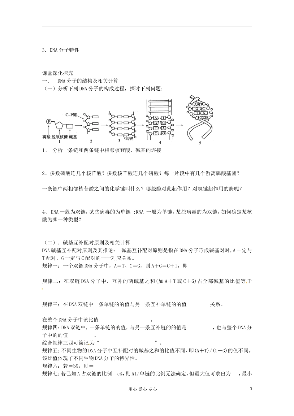 2013届高考生物起点一轮复习 第六单元 DNA分子的结构、复制及基因学案_第3页