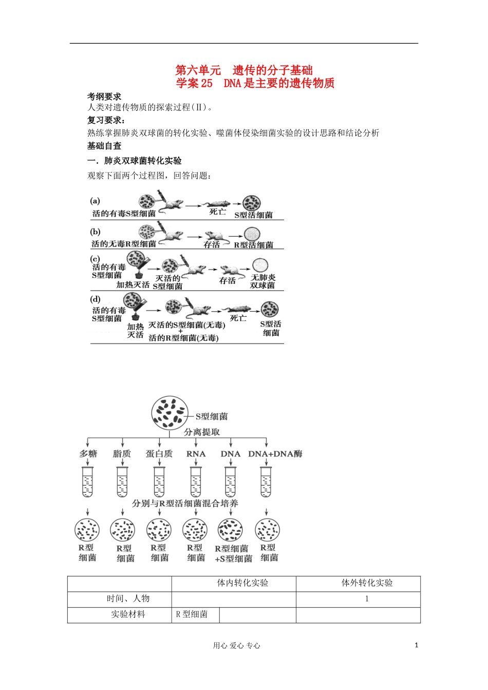 2013届高考生物起点一轮复习 第六单元 DNA是主要的遗传物质学案_第1页