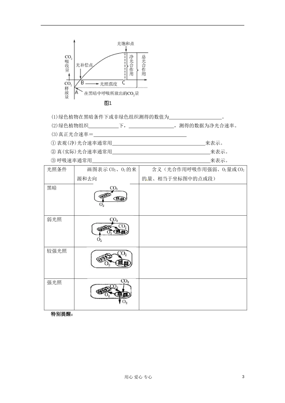 2013届高考生物起点一轮复习 第三单元 光合作用和呼吸作用综合分析学案_第3页
