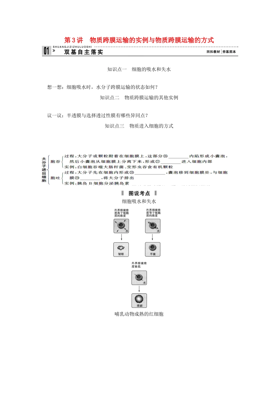 2013届高考生物一轮复习讲义 1.2.3物质跨膜运输的实例与物质跨膜运输的方式_第1页