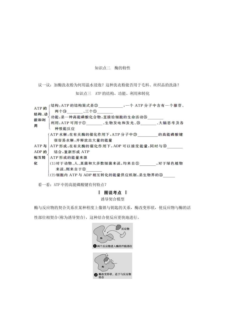 2013届高考生物一轮复习讲义 1.3.1降低化学反应活化能的酶_第2页
