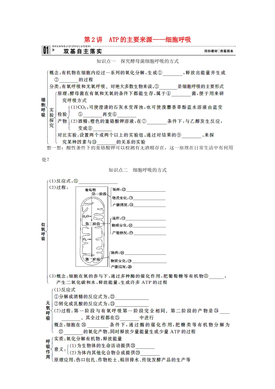 2013届高考生物一轮复习讲义 1.3.2ATP的主要来源_第1页