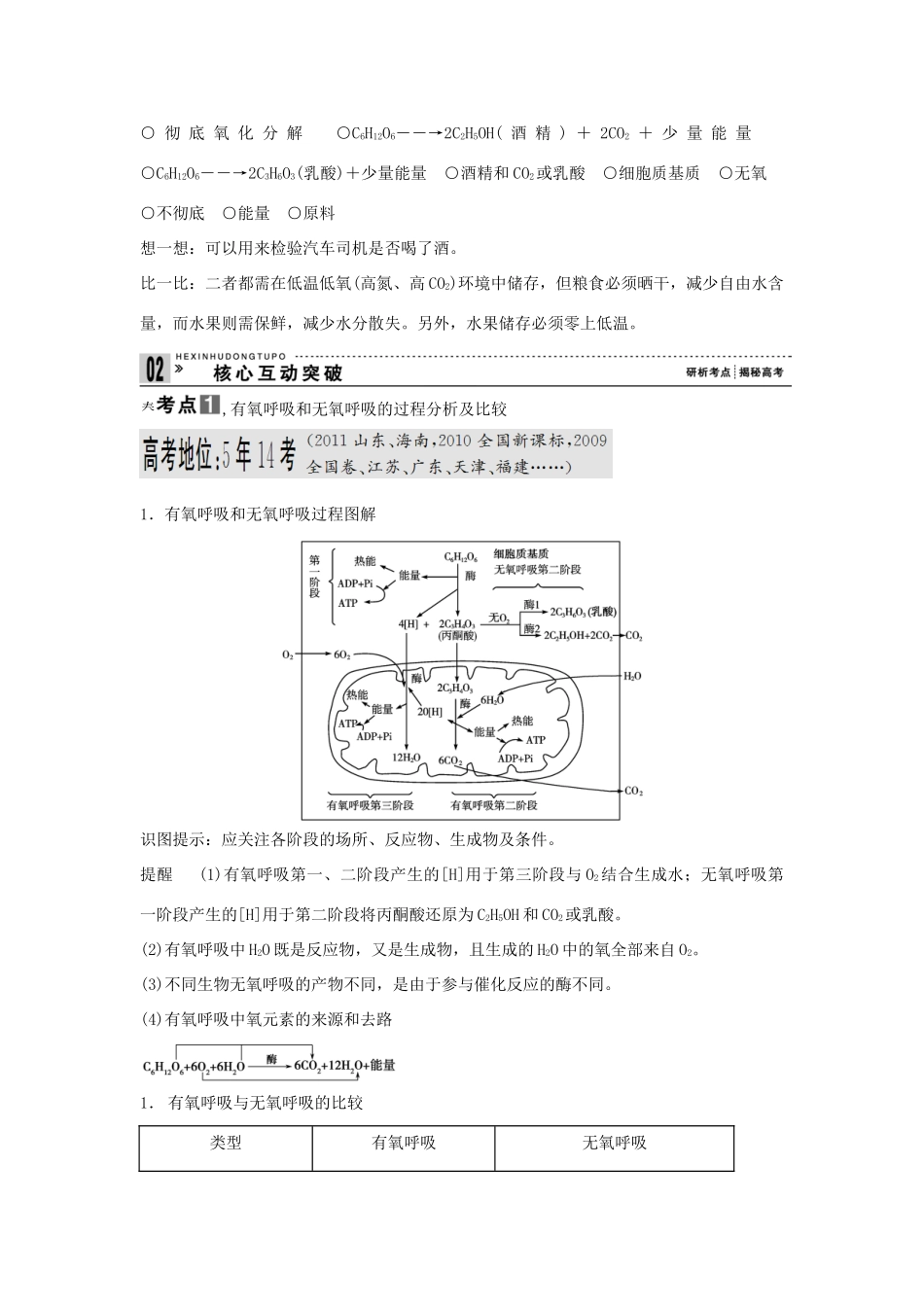 2013届高考生物一轮复习讲义 1.3.2ATP的主要来源_第3页