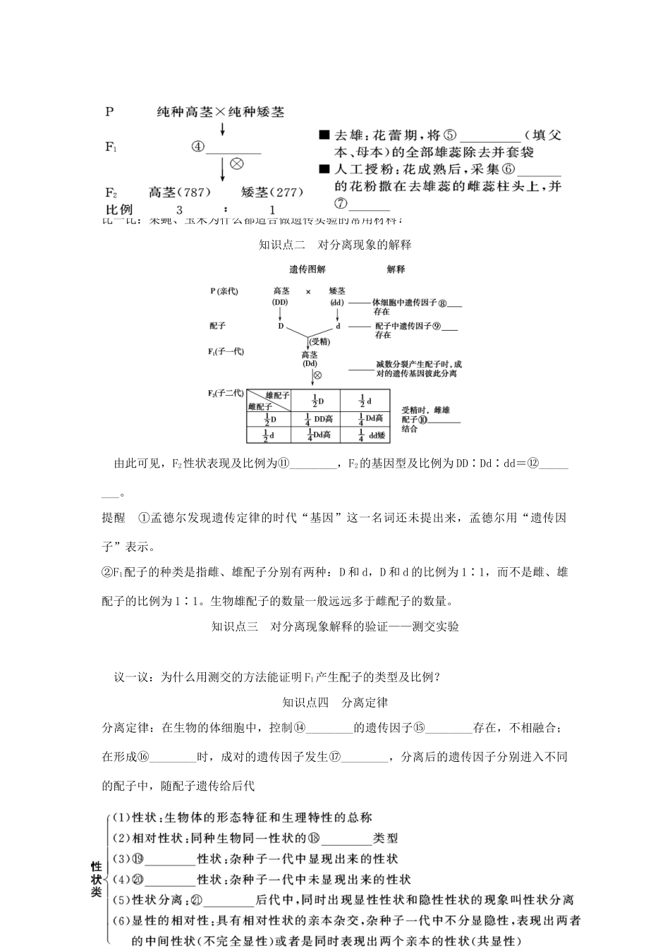 2013届高考生物一轮复习讲义 2.1.1孟德尔的豌豆杂交实验(一)_第2页