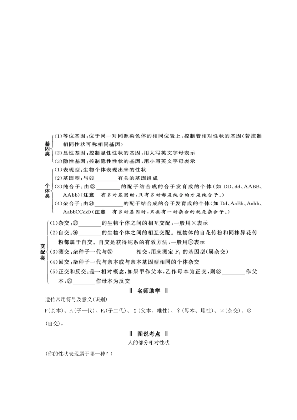 2013届高考生物一轮复习讲义 2.1.1孟德尔的豌豆杂交实验(一)_第3页