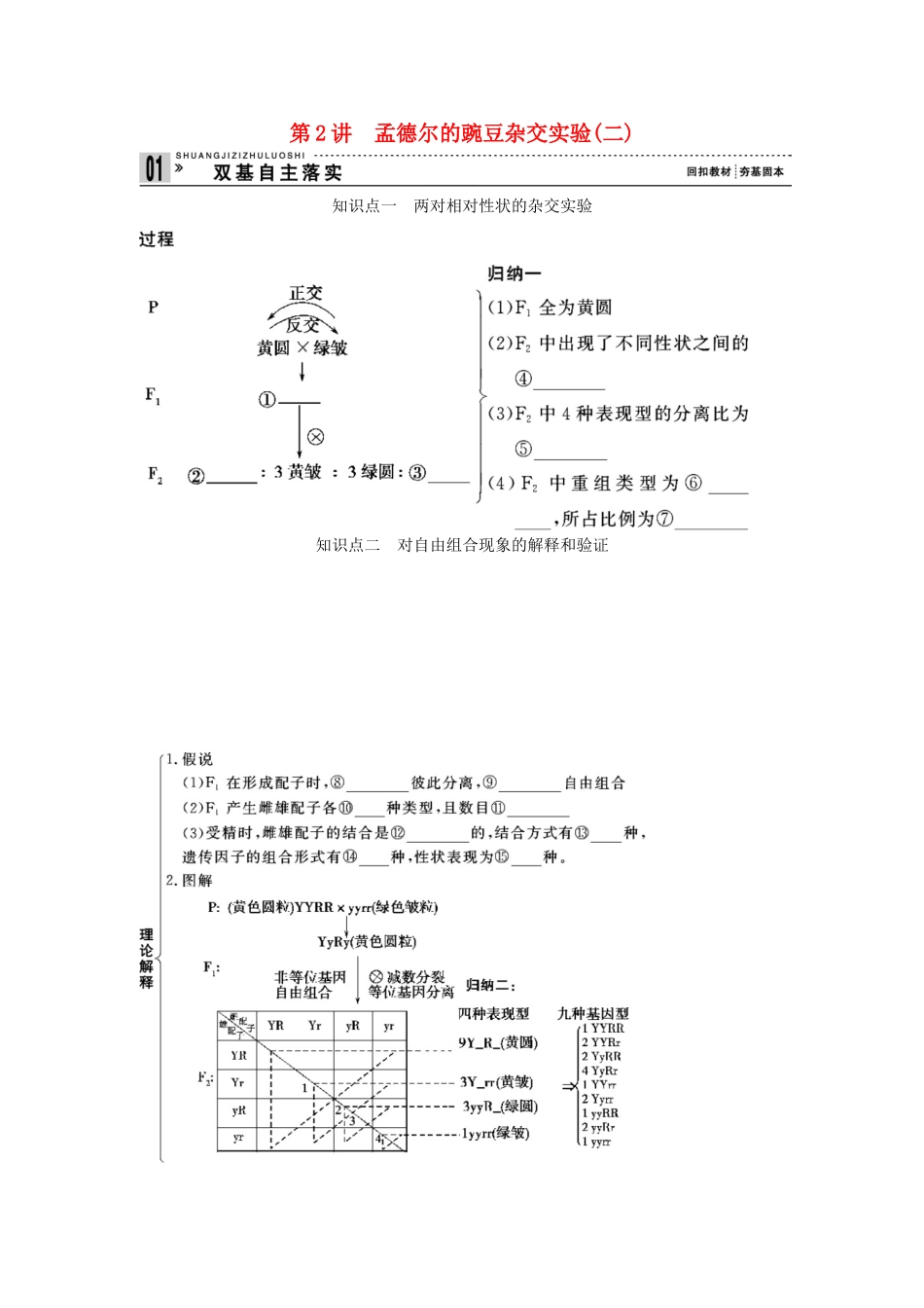 2013届高考生物一轮复习讲义 2.1.2孟德尔的豌豆杂交实验（二）_第1页