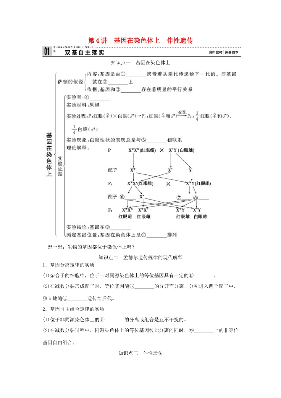 2013届高考生物一轮复习讲义 2.1.4基因在染色体上伴性遗传_第1页