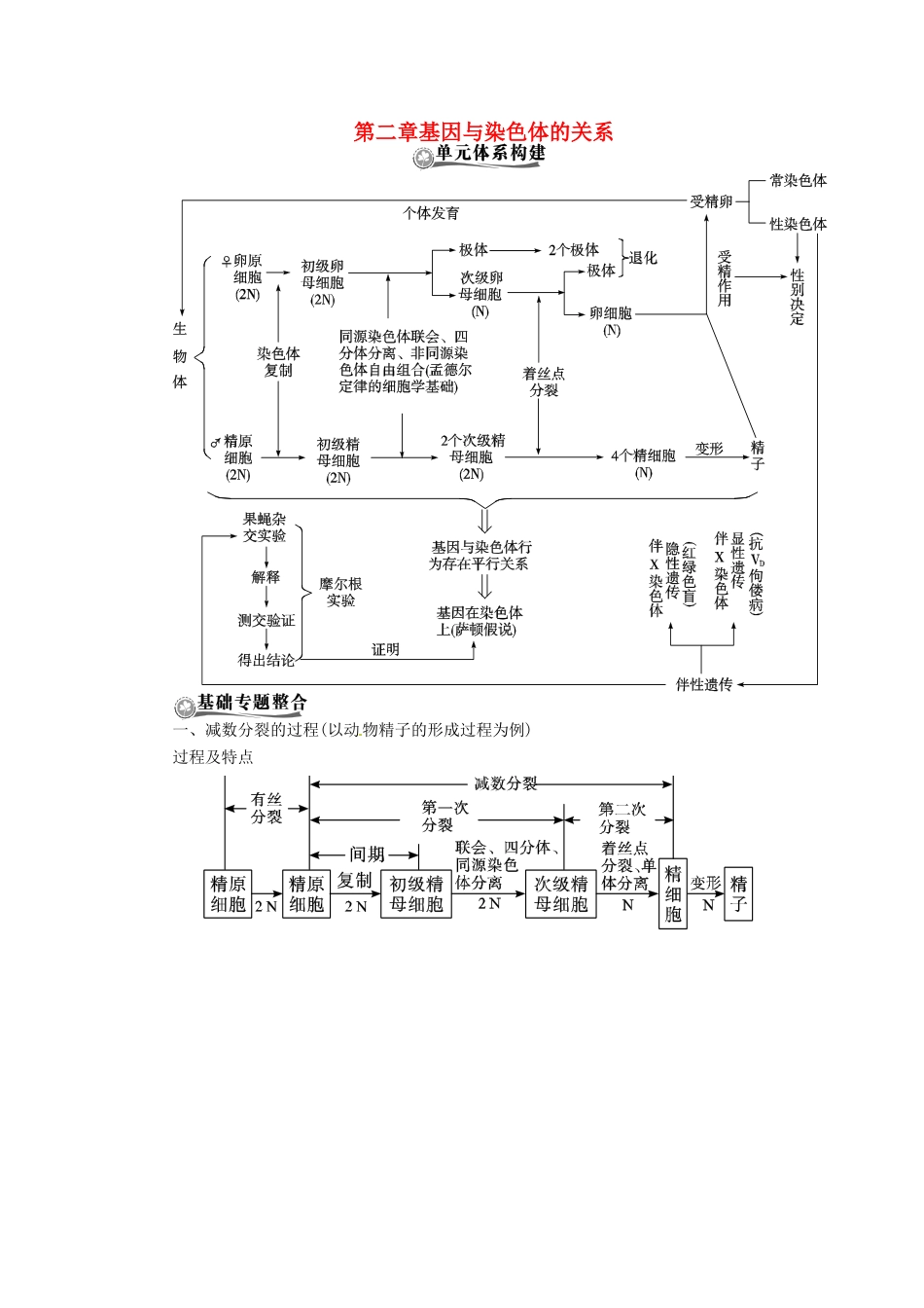 2013届高考生物总复习 基因与染色体的关系教案 新人教版_第1页