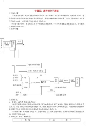 2013年届高三生物二轮复习 专题四 遗传的分子基础精品教学案