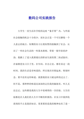 数码公司实践报告