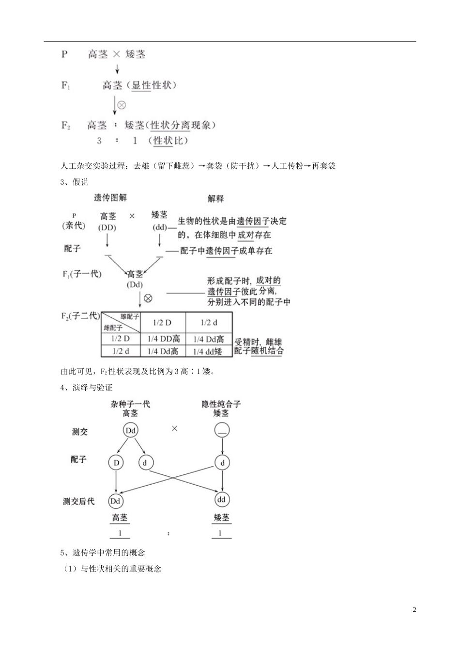 2013版高考生物一轮精品复习 1.1 孟德尔的豌豆杂交实验（一）学案 新人教版必修2_第2页