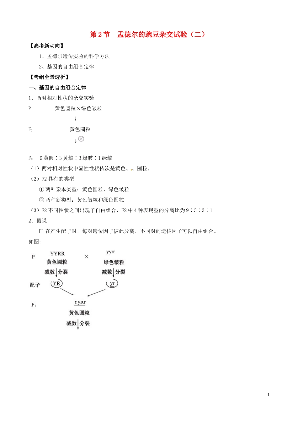 2013版高考生物一轮精品复习 1.2 孟德尔的豌豆杂交实验（二）学案 新人教版必修2_第1页