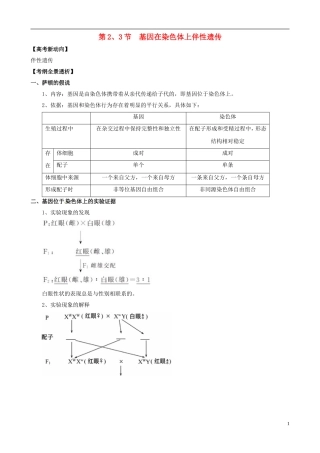 2013版高考生物一轮精品复习 2.2 基因在染色体上和伴性遗传学案 新人教版必修2