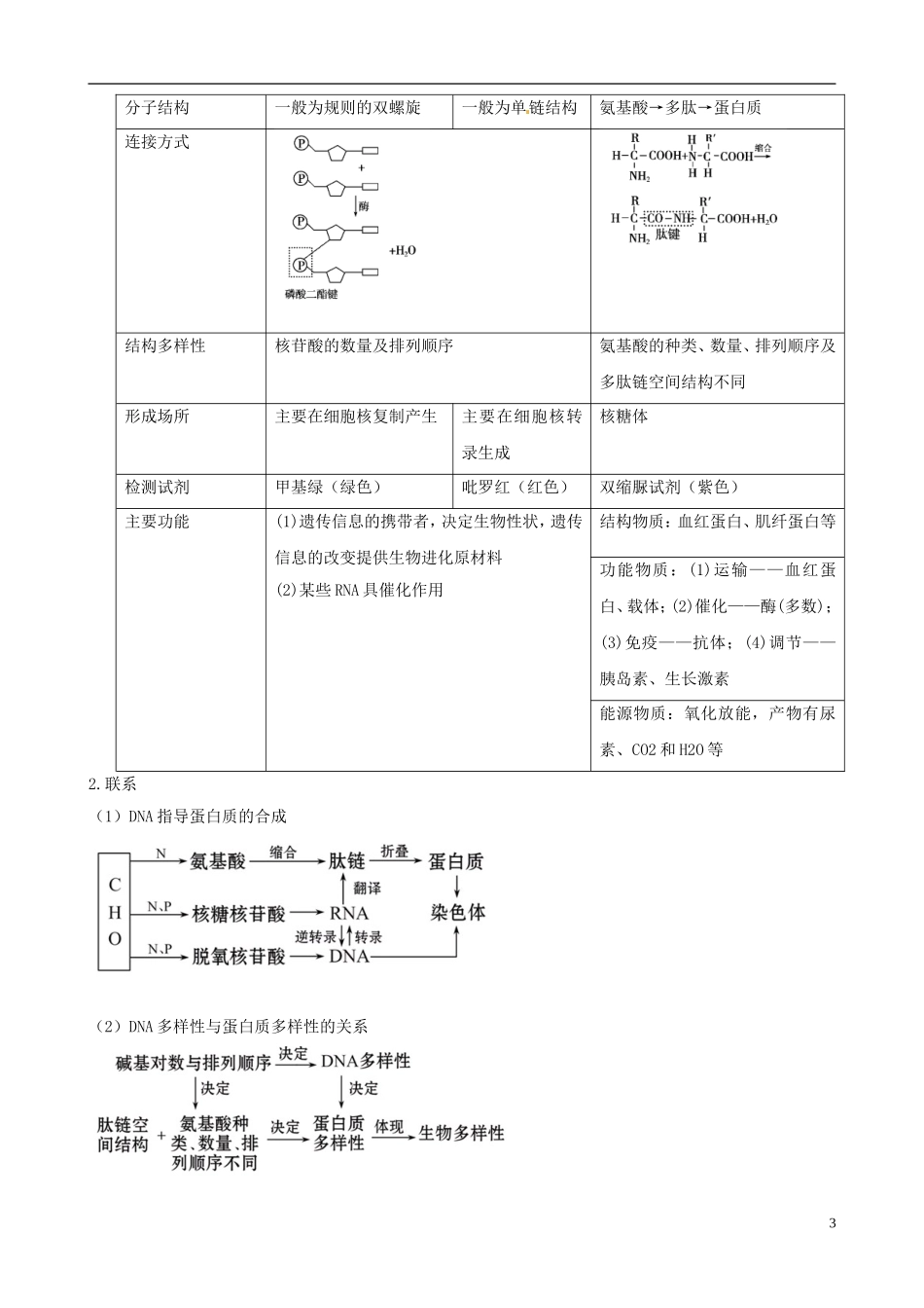 2013版高考生物一轮精品复习 2.3 遗传信息的携带者 核酸 细胞中的糖类和脂质学案 新人教版必修1_第3页
