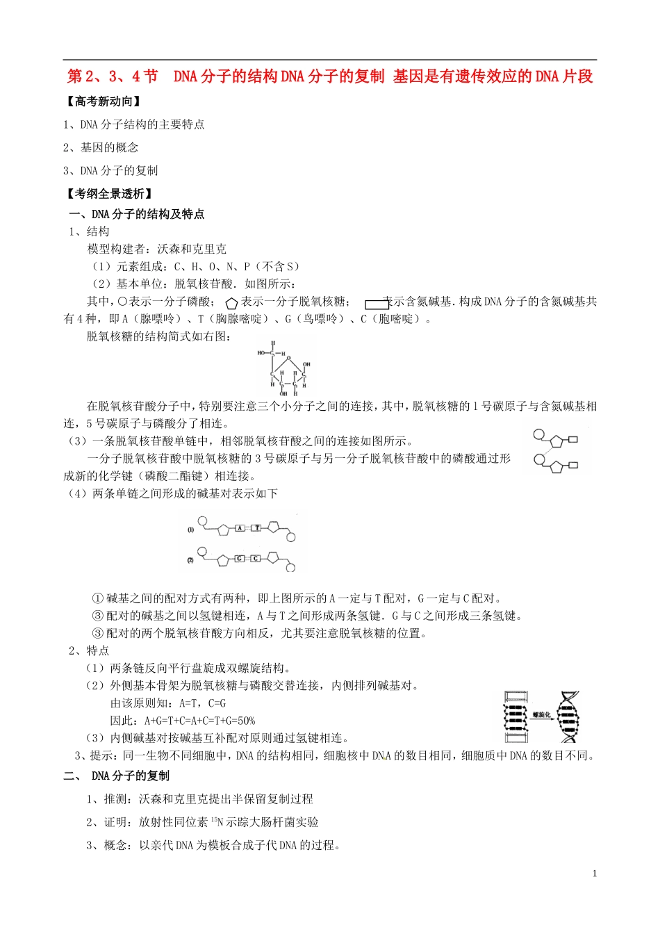 2013版高考生物一轮精品复习 3.2 DNA分子的结构、DNA分子的复制和基因是有遗传效应的DNA片段学案 新人教版必修2_第1页