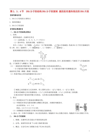 2013版高考生物一轮精品复习 3.2 DNA分子的结构、DNA分子的复制和基因是有遗传效应的DNA片段学案 新人教版必修2
