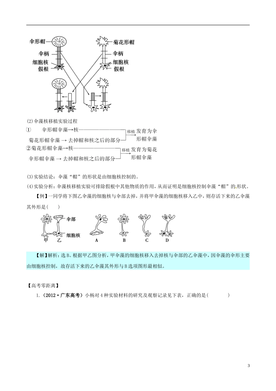 2013版高考生物一轮精品复习 3.3 细胞核 系统的控制中心学案 新人教版必修1_第3页