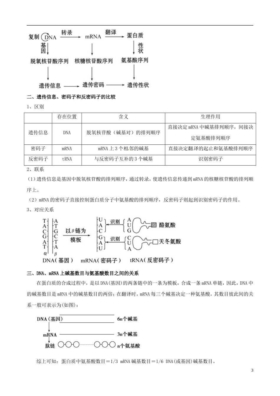 2013版高考生物一轮精品复习 4.1 基因指导蛋白质的合成学案 新人教版必修2_第3页