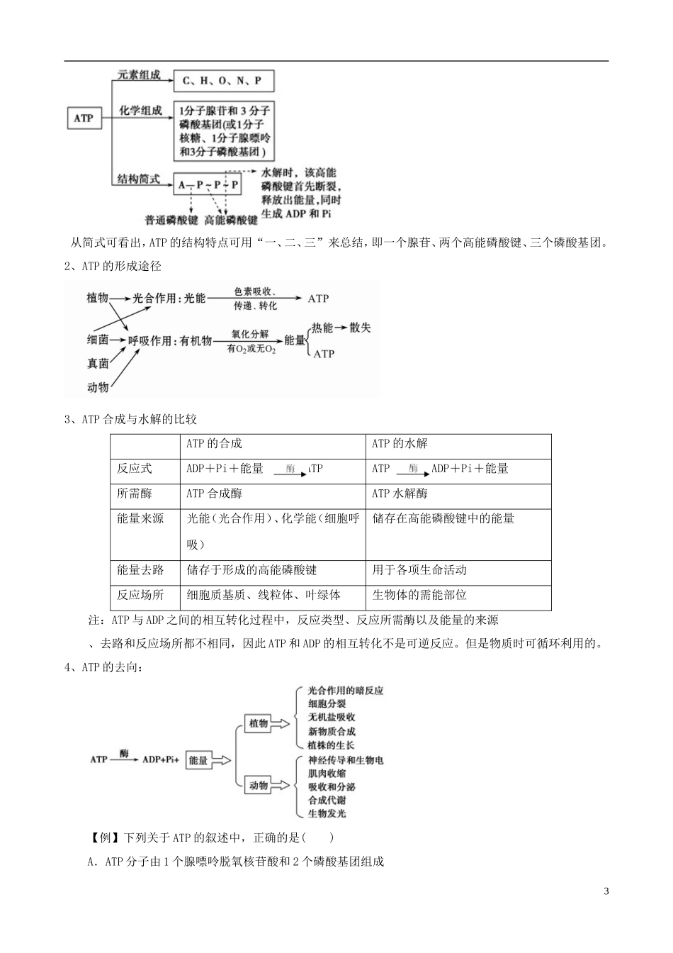 2013版高考生物一轮精品复习 5.2 细胞的能量“通货” ATP、ATP的主要来源 细胞呼吸学案 新人教版必修1_第3页