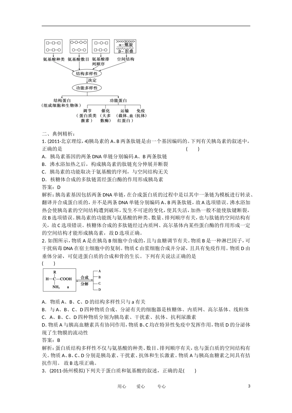 2013年高考生物 生命活动的主要承担者——蛋白质学案_第3页