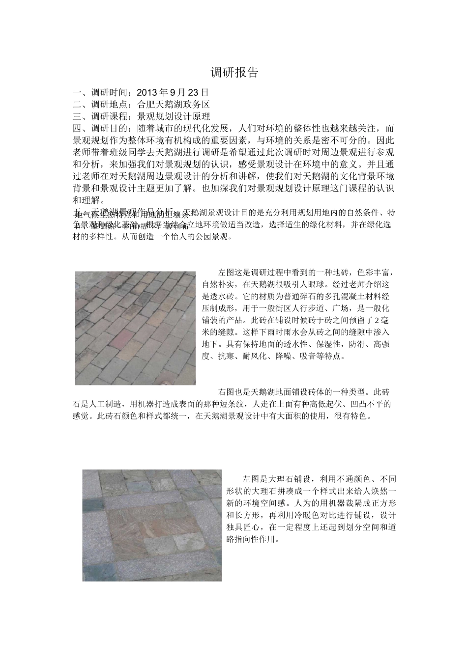 景观调研报告_第1页